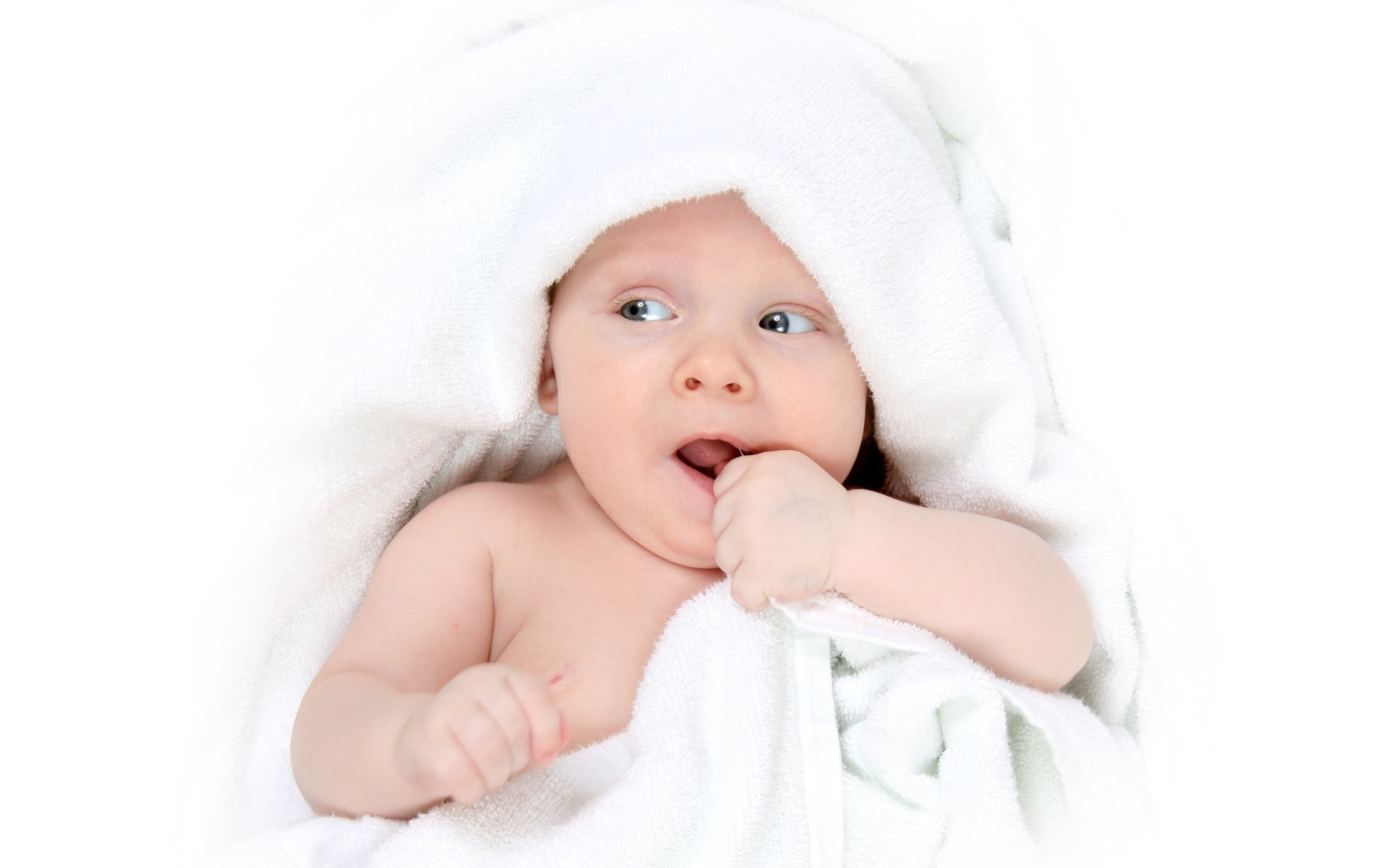 无锡正规借卵试管婴儿减胎的成功率